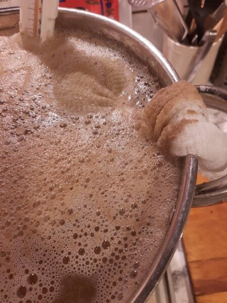 Brewing with hops