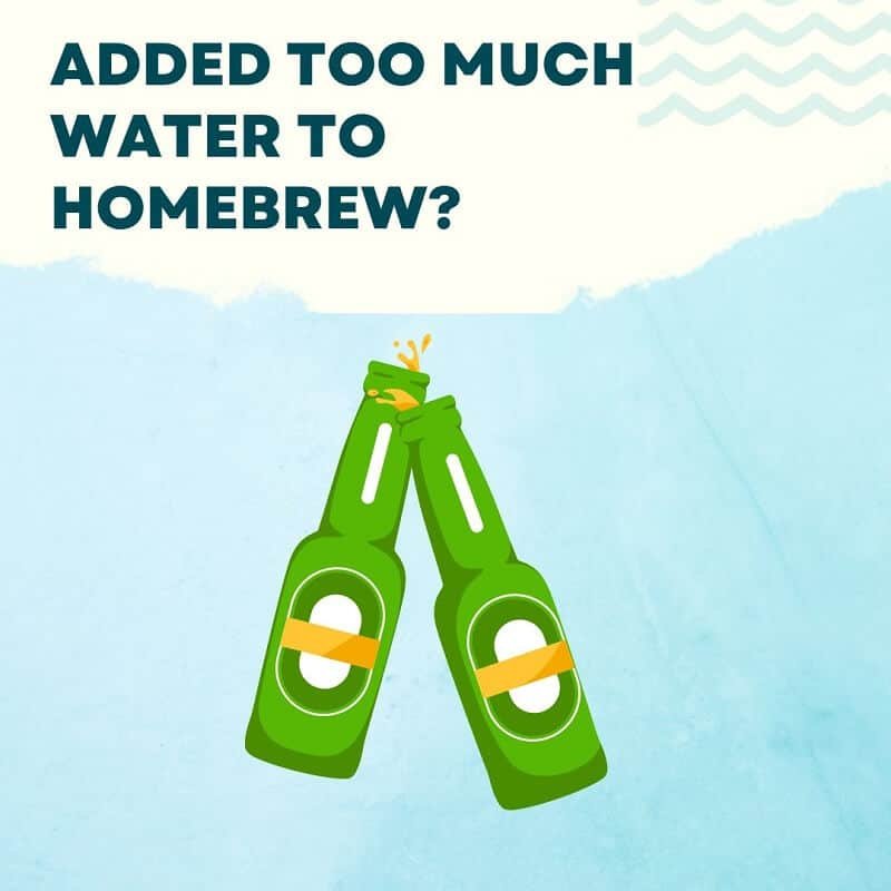 Text "added too much water to homebrew?" and an illustration of two beer bottles