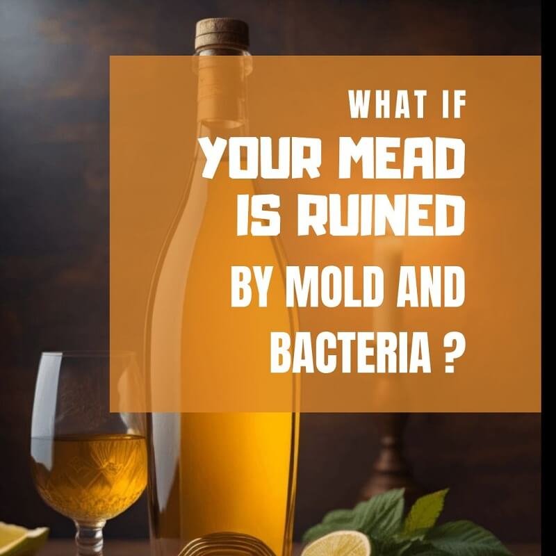 Question about is the mead gone bad due to mold and bacteria contamination?