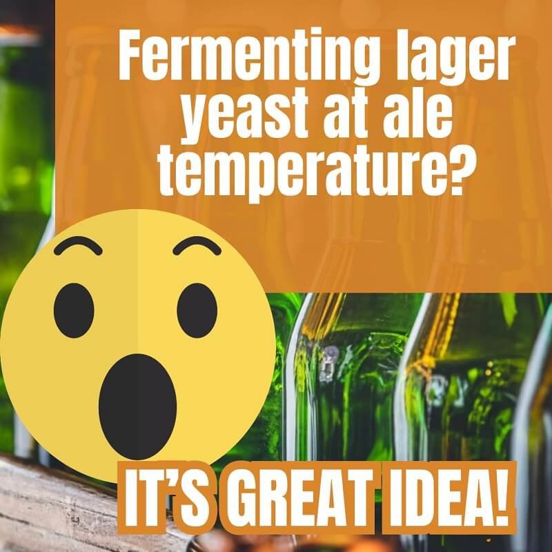 Beers in the background, surprised emoji and text "fermenting lager yeast at ale temperature? Great idea!"