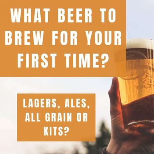 What Beer Should You Brew First? (+ Beginner Tips) – Brewing Way