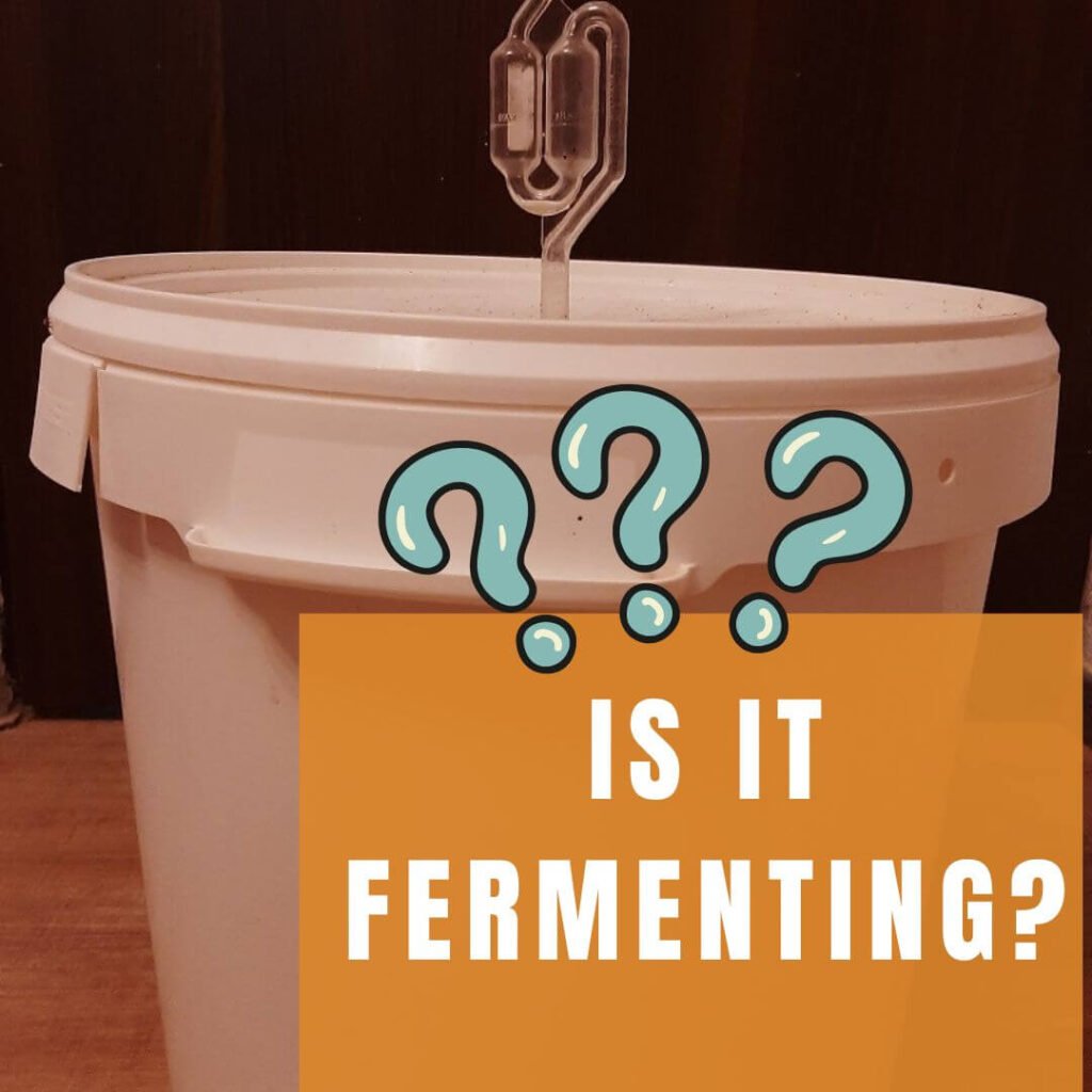 A fermenter full of beer and text "is it fermenting?"